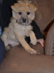 Sally Sue