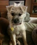 Sally Sue