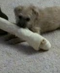 Sally sue1